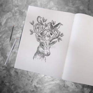 Sketch Books